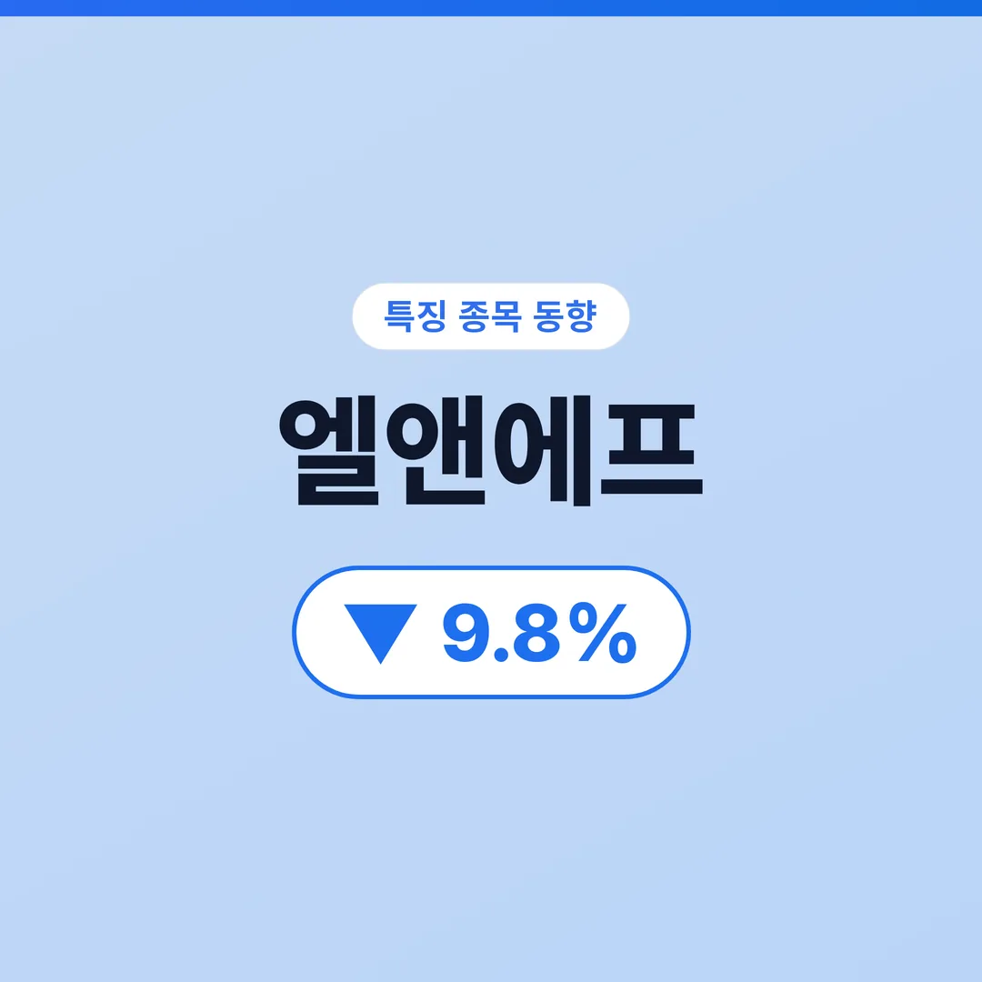 엘앤에프
