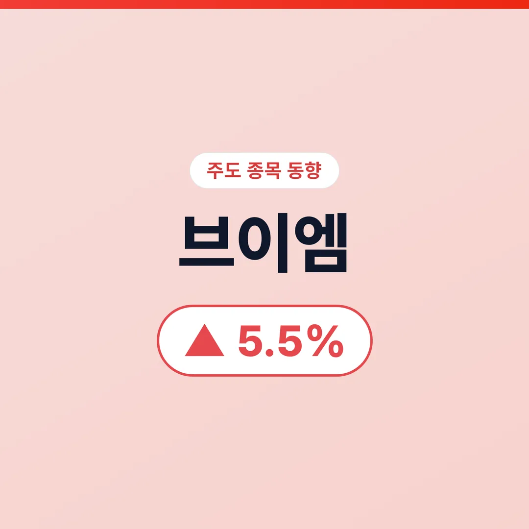브이엠