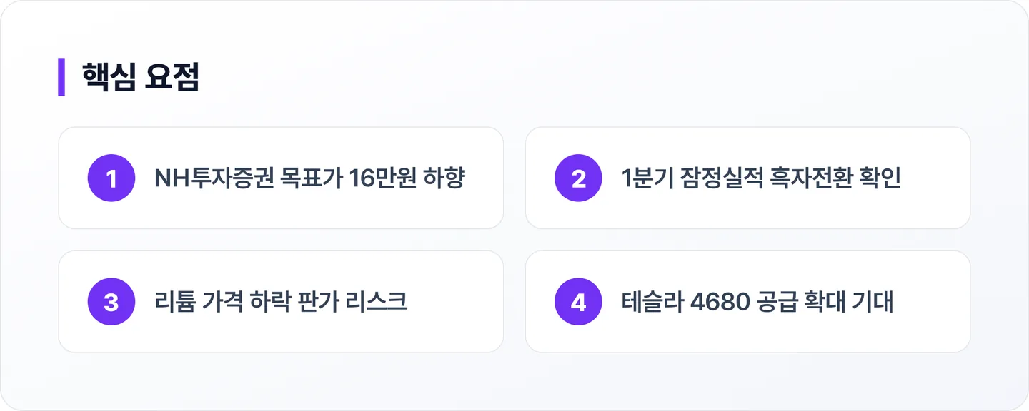 엘앤에프 핵심 요점