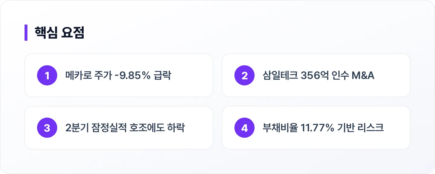 메카로 핵심 요점