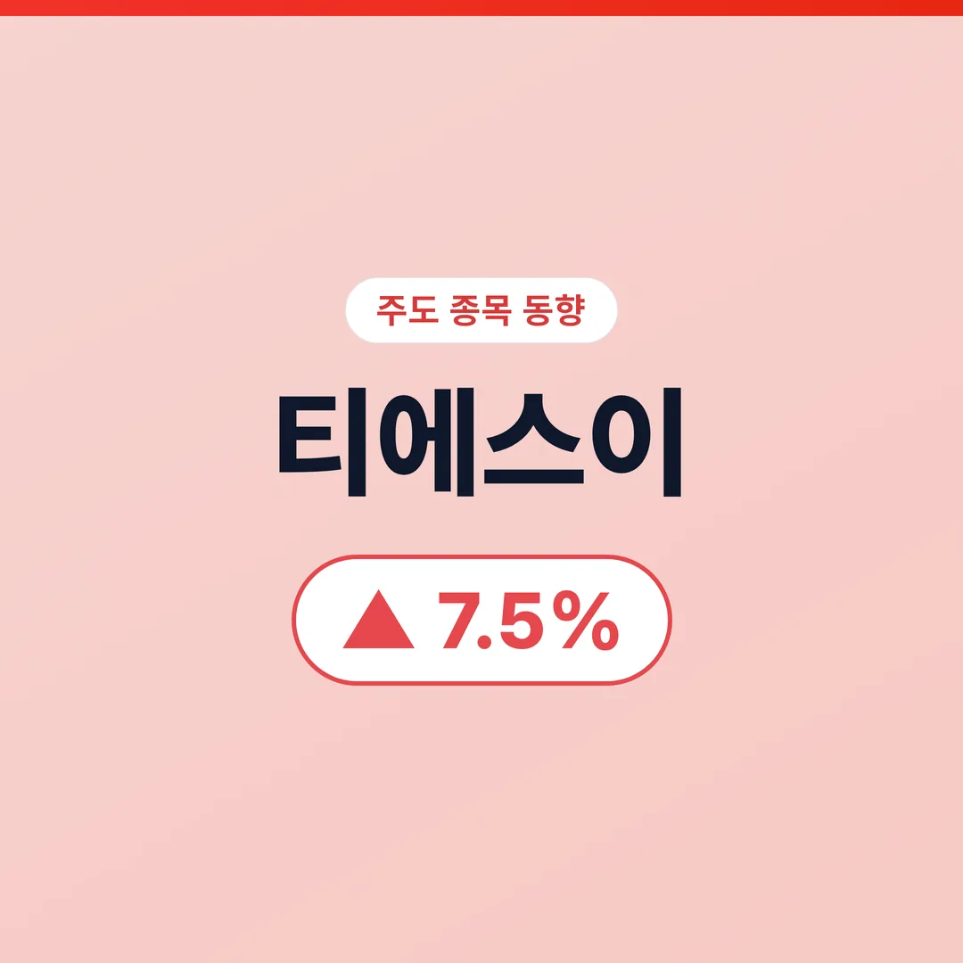 티에스이