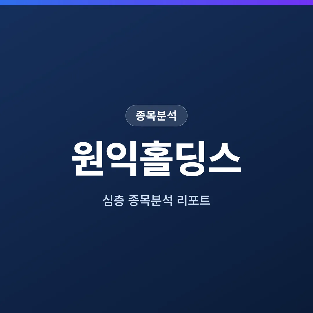 원익홀딩스 종목분석