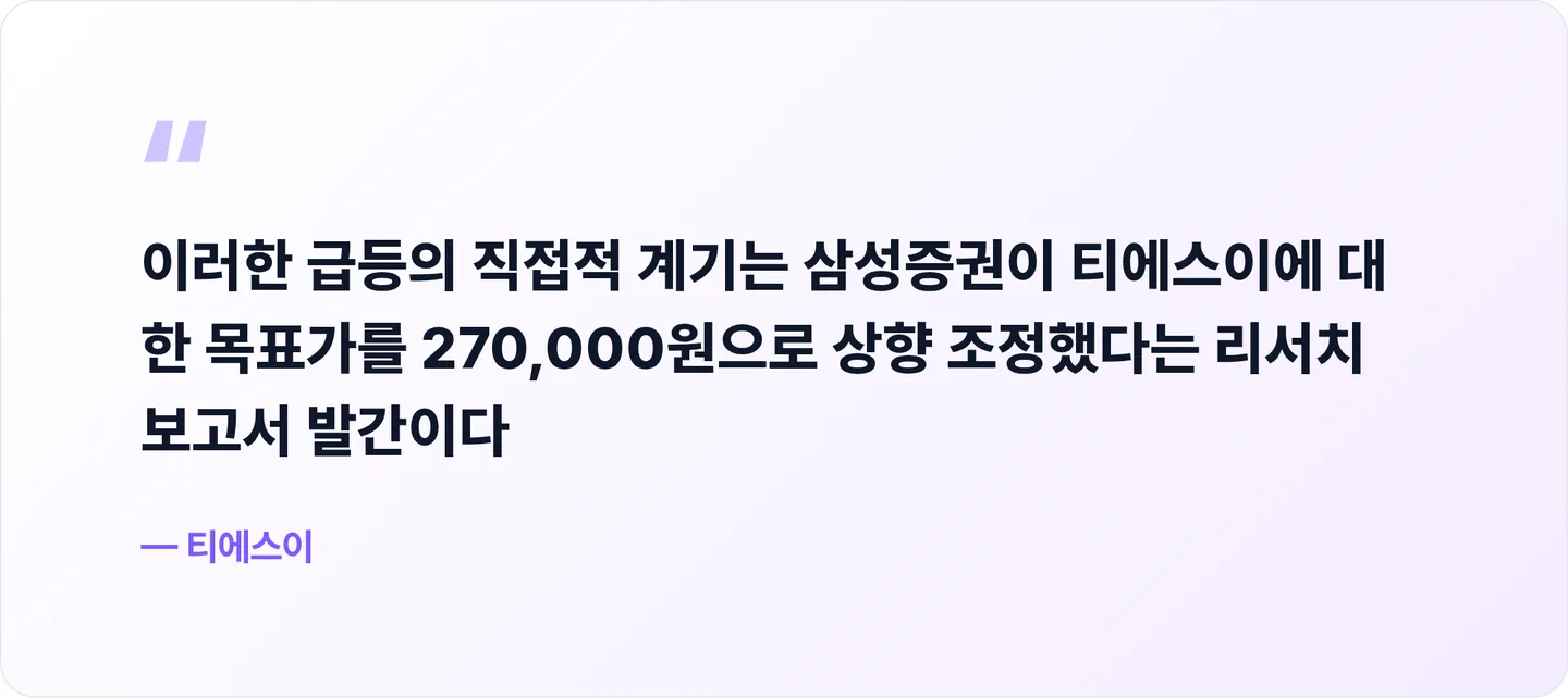 티에스이 핵심 문장