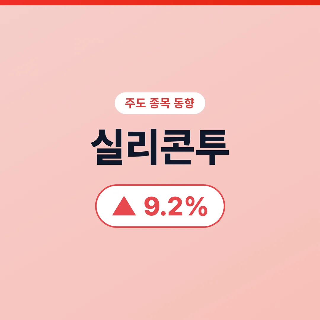실리콘투