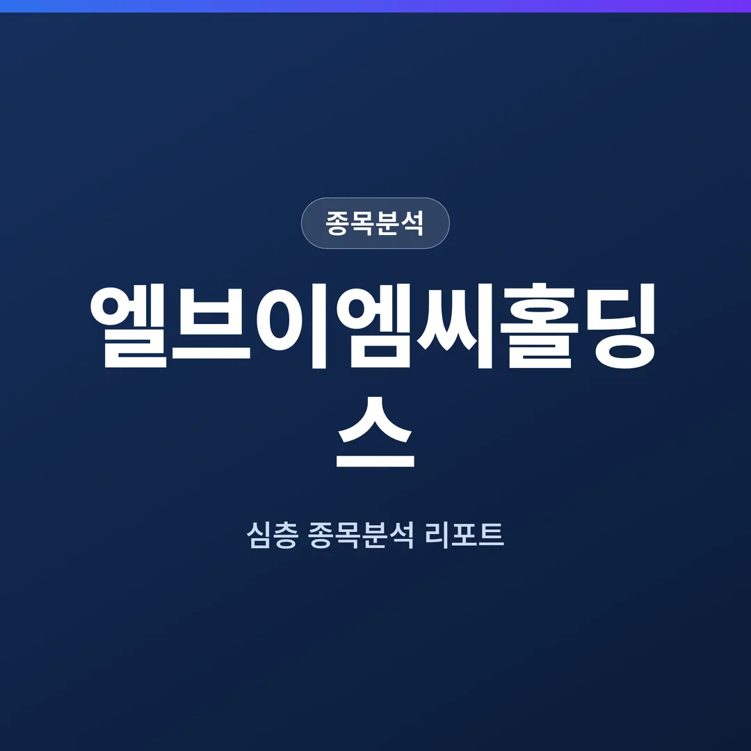 엘브이엠씨홀딩스 종목분석