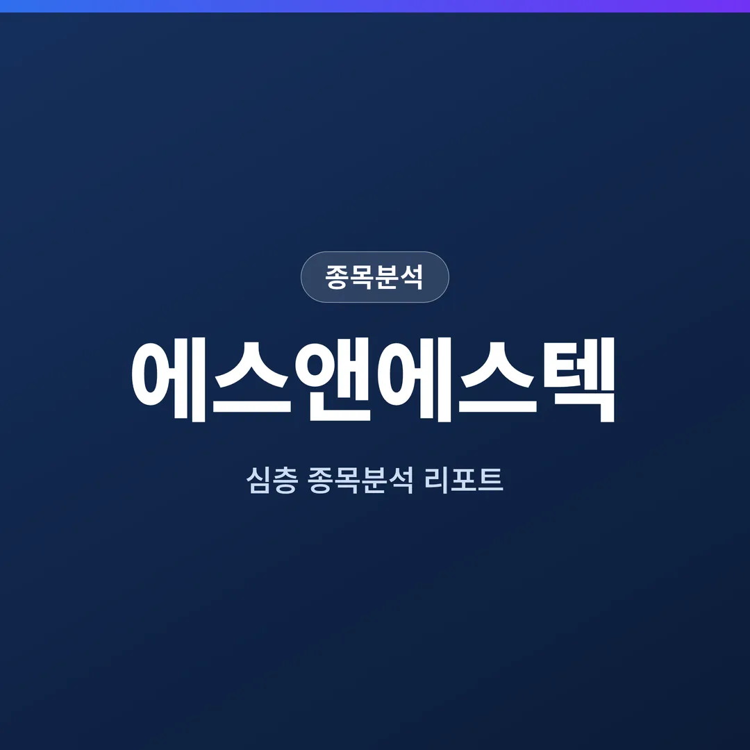 에스앤에스텍 종목분석