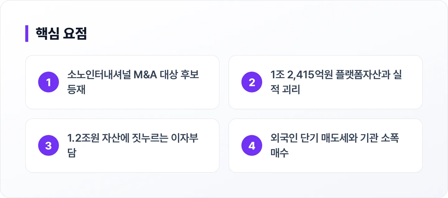 아난티 핵심 요점