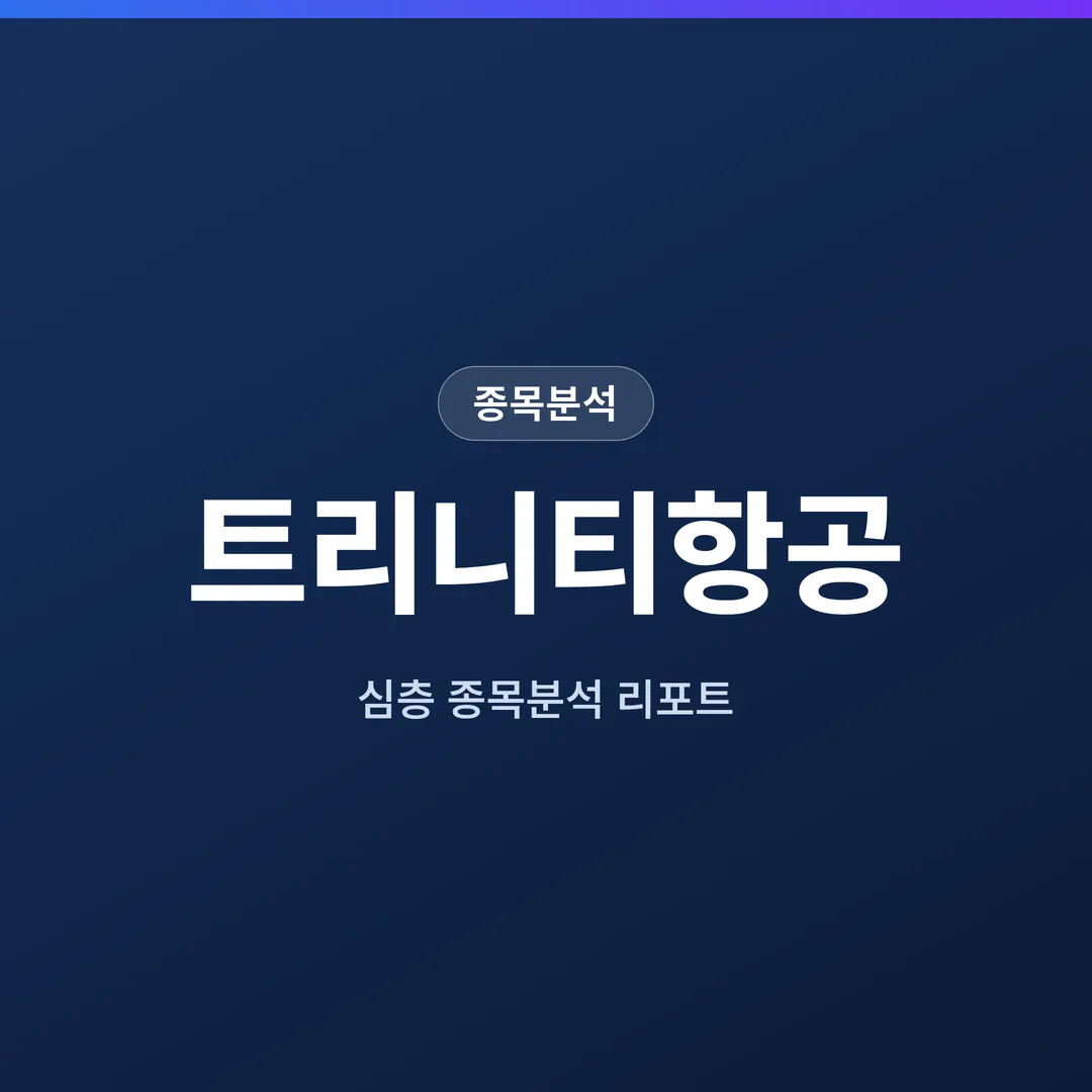 트리니티항공 종목분석