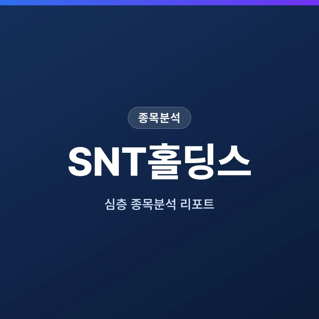 SNT홀딩스 종목분석