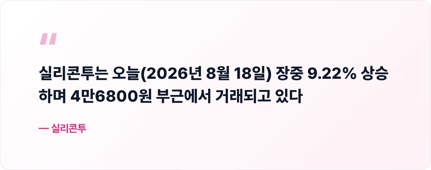 실리콘투 핵심 문장